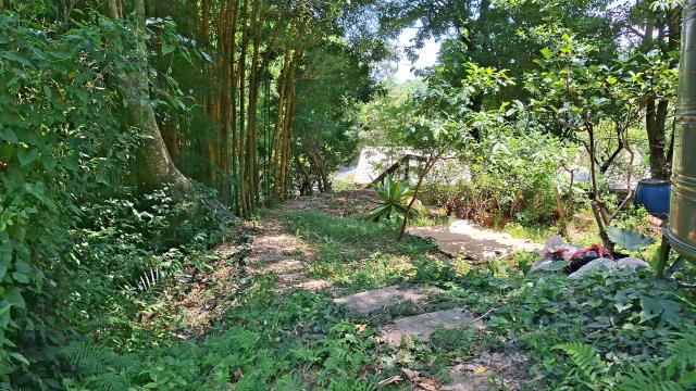 峨眉山坡地-8