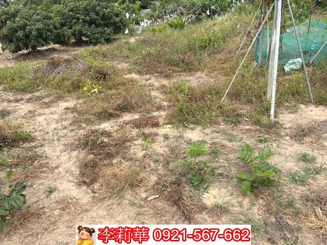 新化建地-4