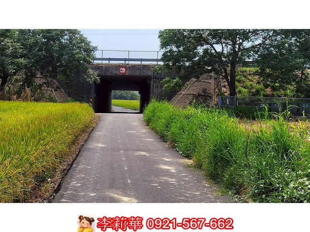 台南農地-3