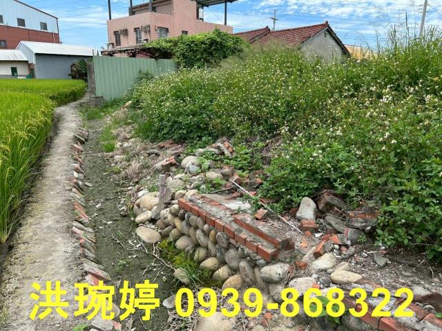 台中烏日建地-4