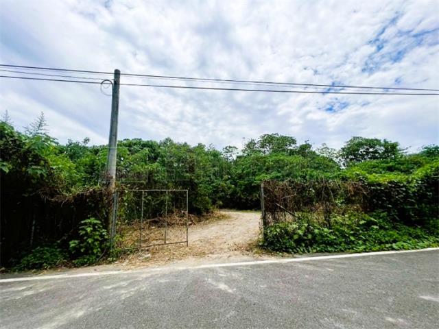 屏東竹田農地-5
