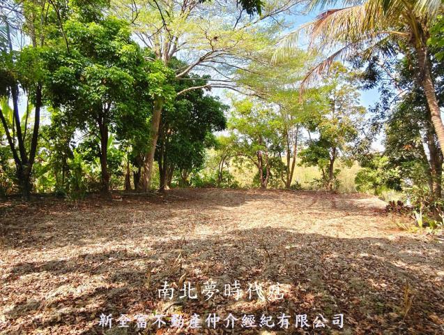 台南左鎮農地-6