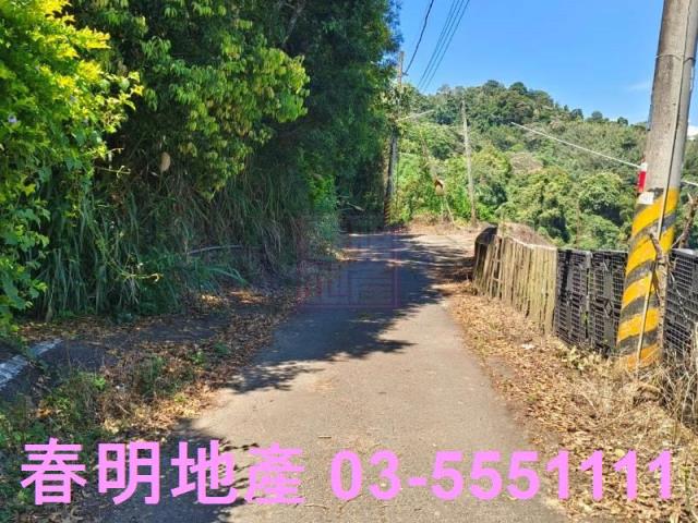 橫山農地-6