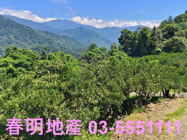 橫山農地-9