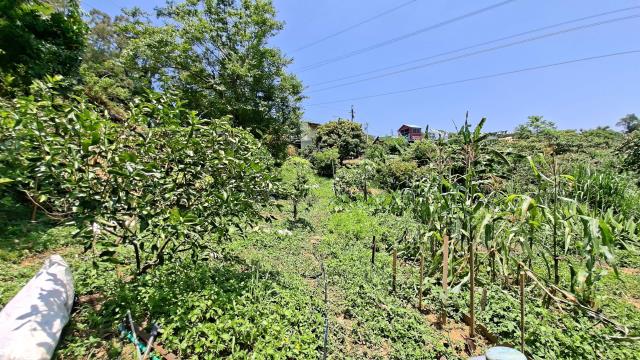 峨眉休閒地-3
