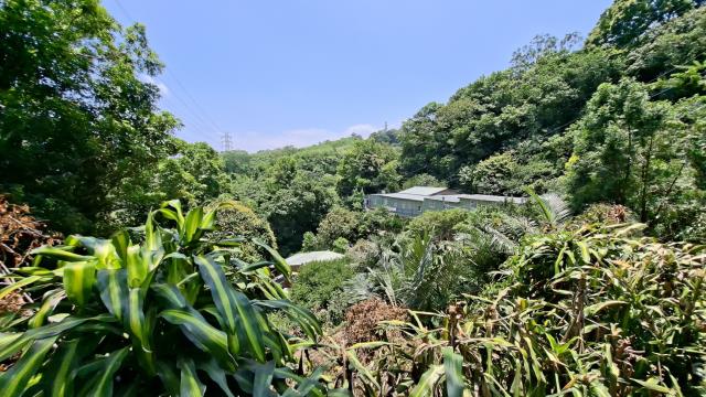 新竹峨眉山坡地-15