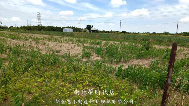 台南新營農地-8