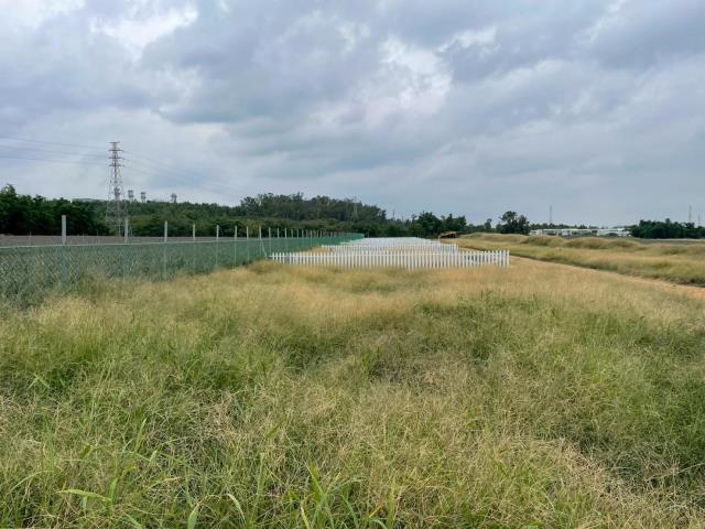 民雄農地-3