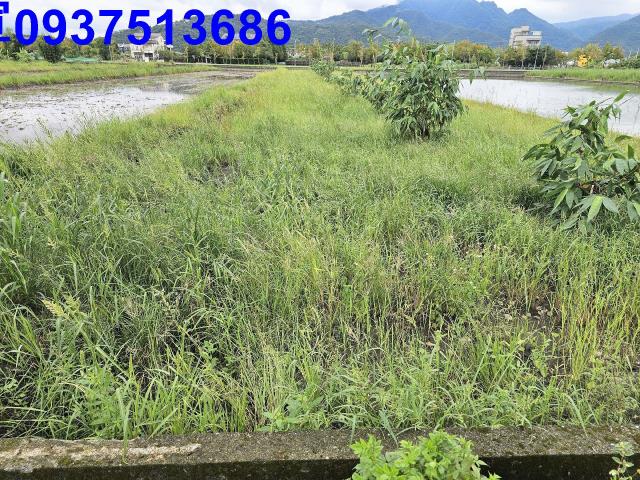 宜蘭員山農地-2