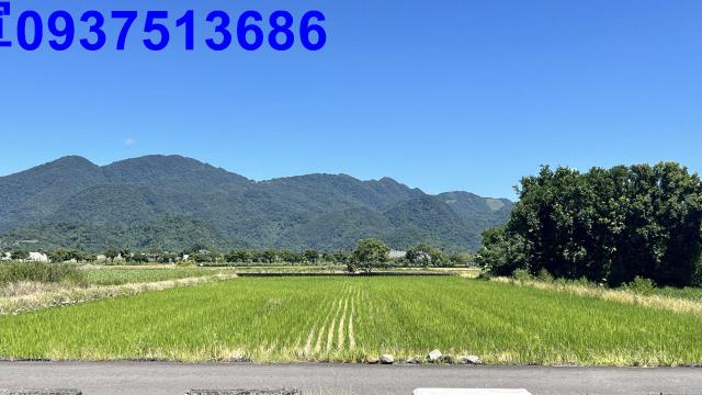 宜蘭三星農地-15