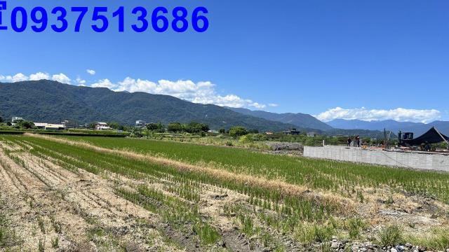 宜蘭三星農地-2