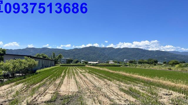 宜蘭三星農地-3