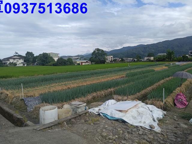 宜蘭三星農地-6
