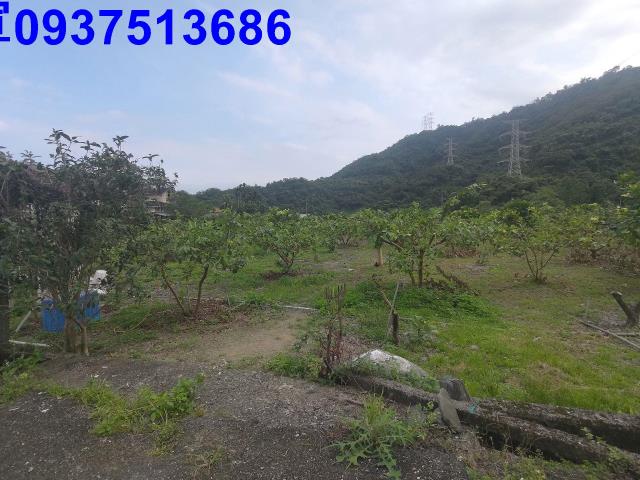 宜蘭員山農地-13