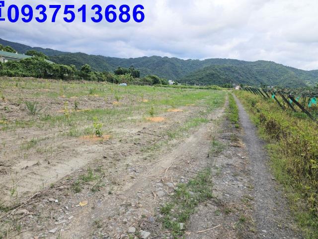 宜蘭員山農地-8