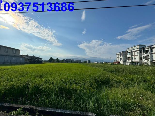 員山農地-2