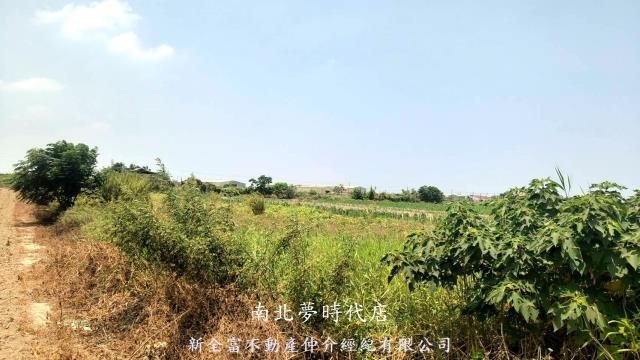 新營農地-10