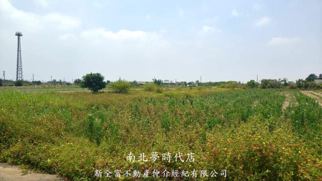 新營農地-7