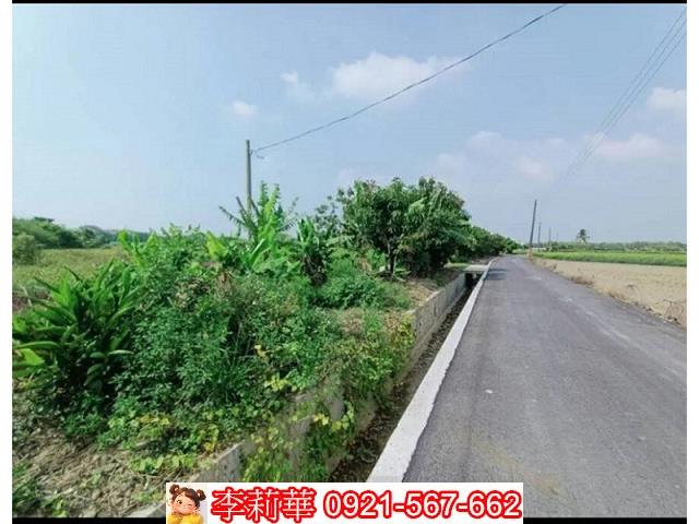 新市農地-6