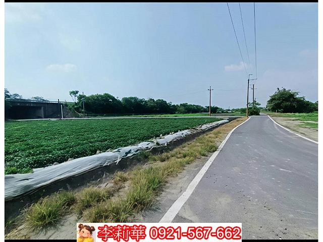 新市農地-8