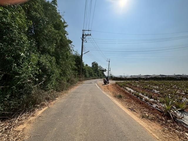 嘉義民雄農地-3