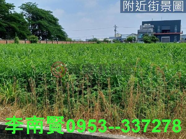 台南西港農地-9