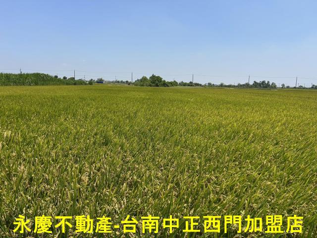 台南柳營農地-5