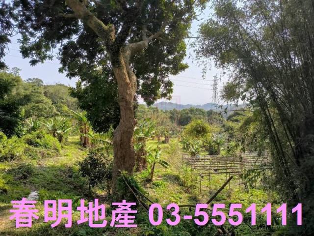 新竹竹東工業地-3