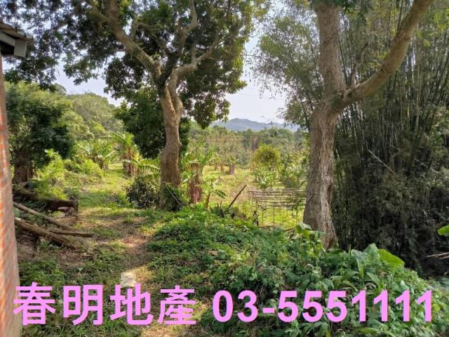 新竹竹東工業地-5