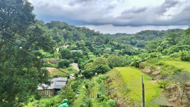 寶山山坡地-11
