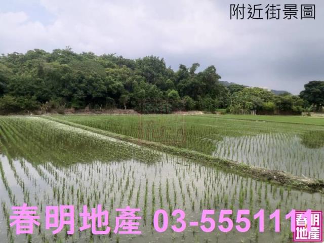新竹農地-1