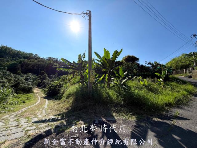 台南新化林地-3