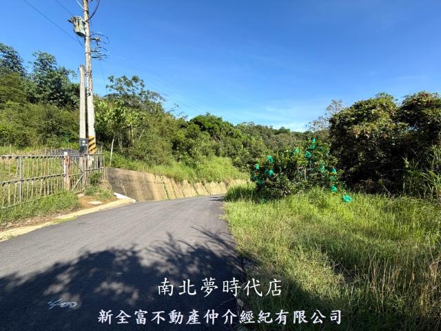 台南新化林地-4
