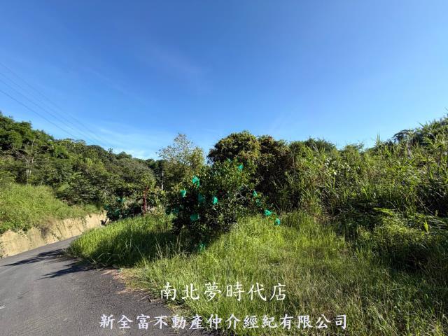 新化林地-8