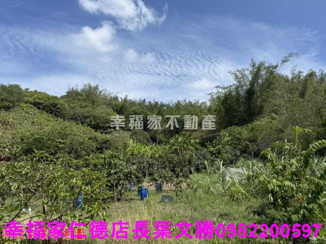 玉井農地-13