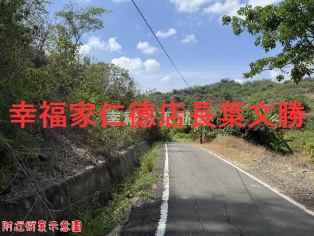 玉井農地-12
