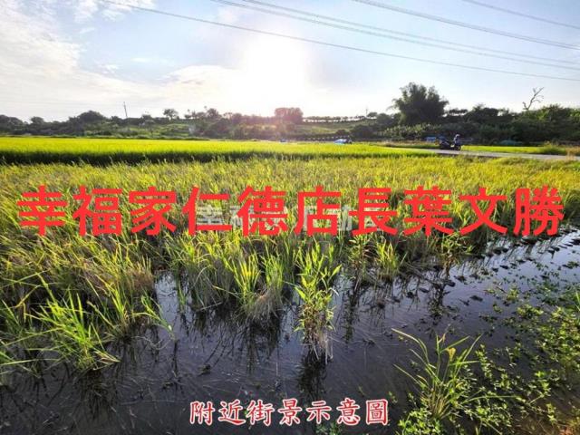 台南農地-4