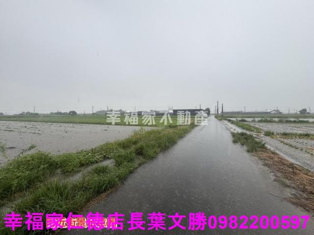 台南西港農地-11