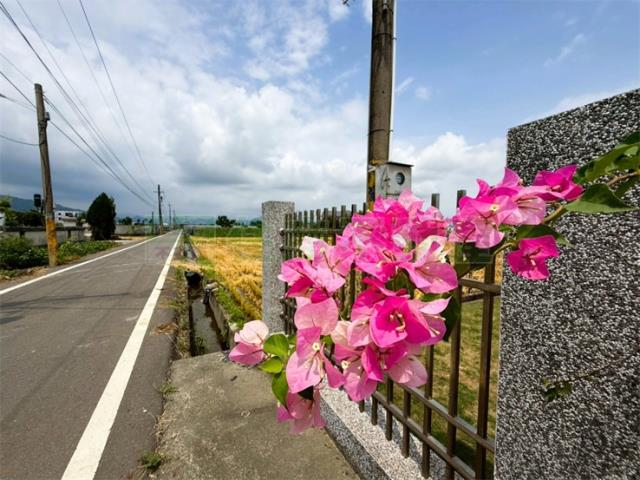 高雄美濃農地-5