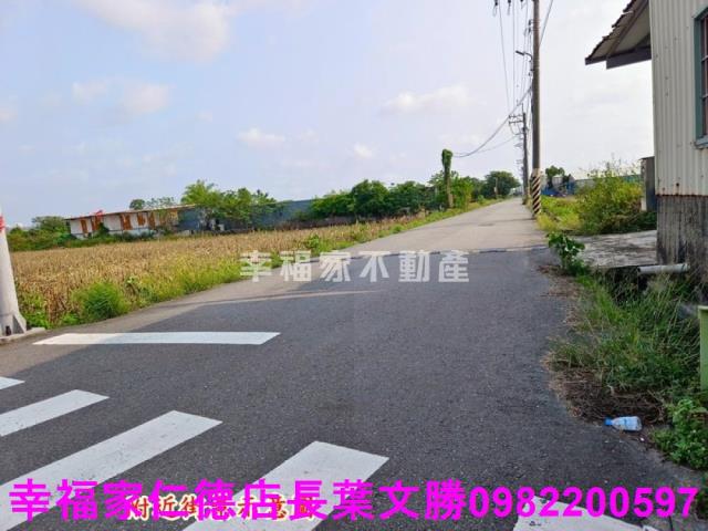安定農地-2