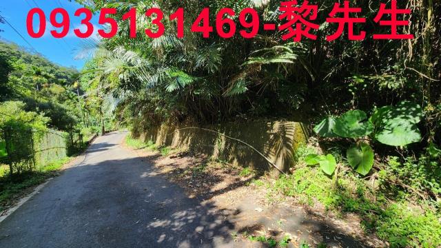 芎林林地-11