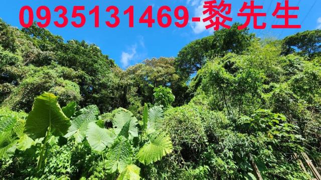 芎林林地-8