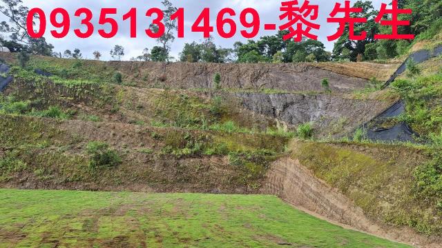 寶山林地-10