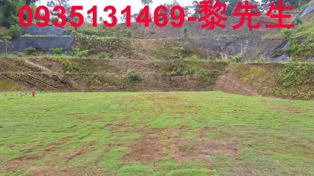 寶山林地-1