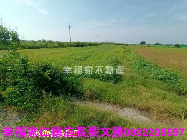將軍農地-11