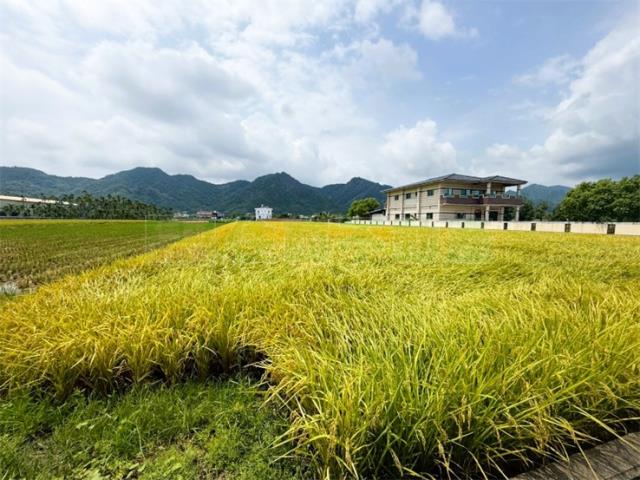 美濃農地-5
