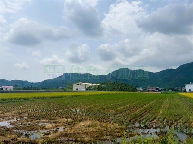 美濃農地-6