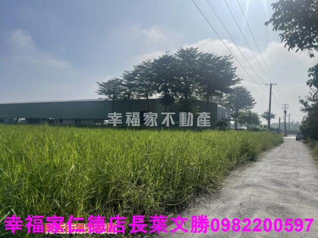 台南農地-3