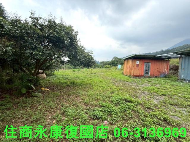 台南東山農地-4