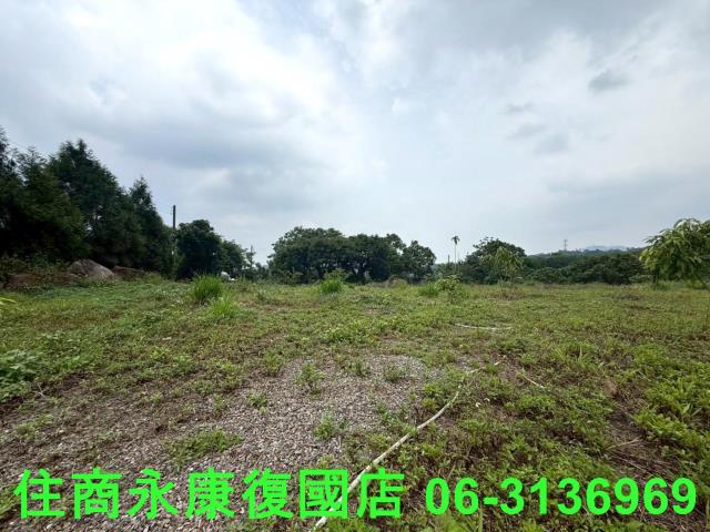 台南東山農地-7